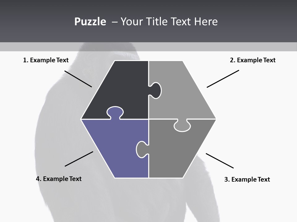 Animal Mammal Species PowerPoint Template