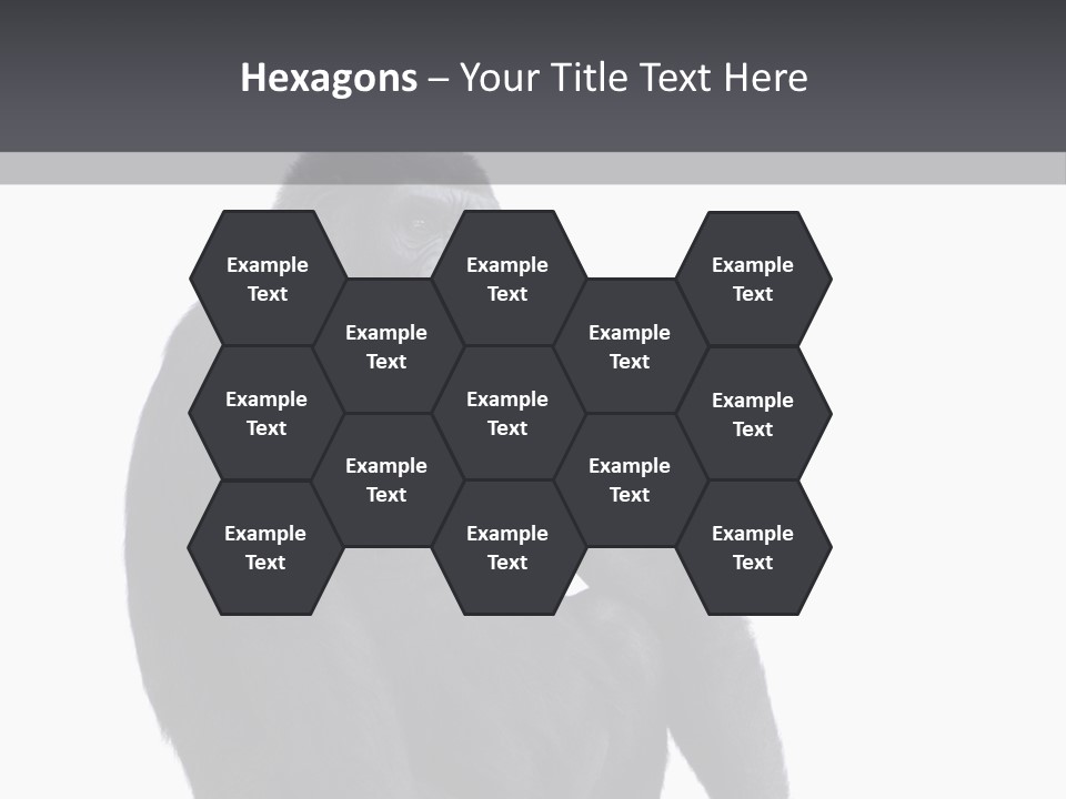 Animal Mammal Species PowerPoint Template