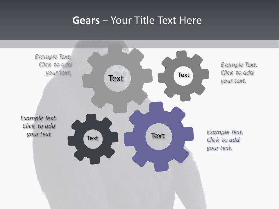 Animal Mammal Species PowerPoint Template