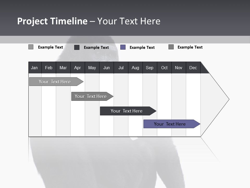 Animal Mammal Species PowerPoint Template