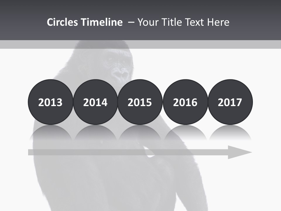 Animal Mammal Species PowerPoint Template