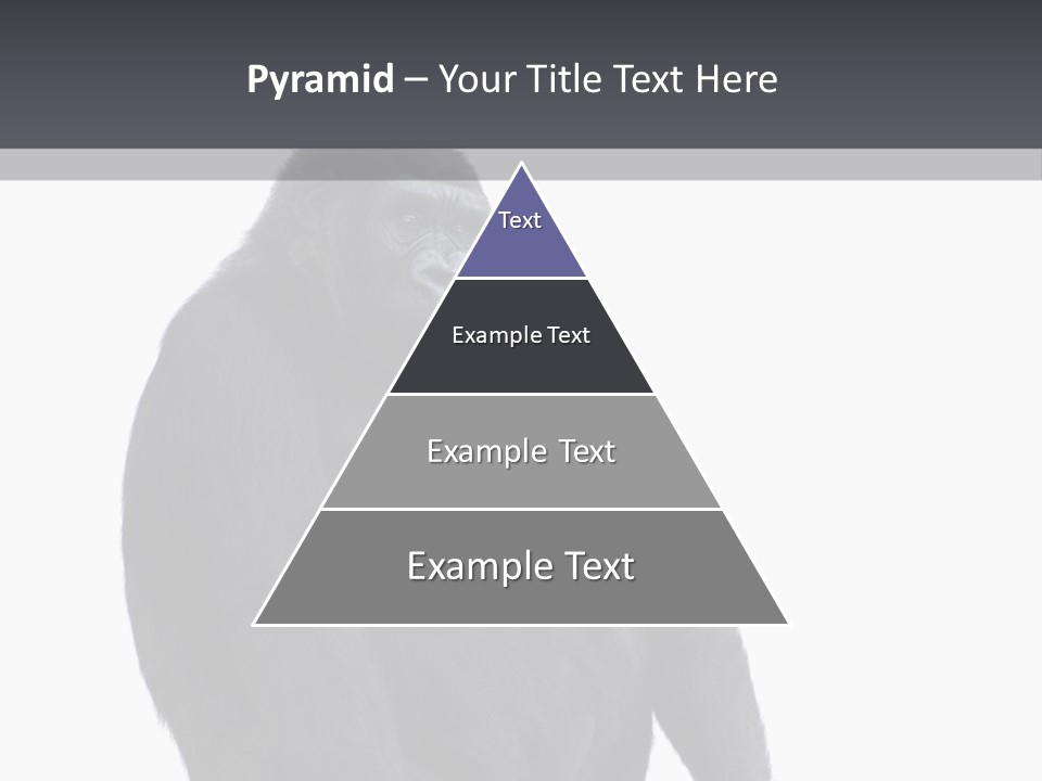 Animal Mammal Species PowerPoint Template