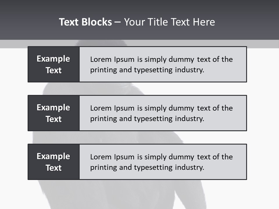 Animal Mammal Species PowerPoint Template