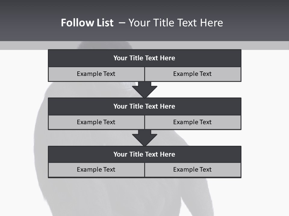Animal Mammal Species PowerPoint Template