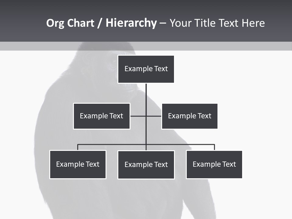 Animal Mammal Species PowerPoint Template
