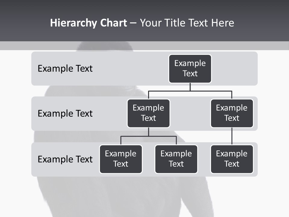 Animal Mammal Species PowerPoint Template