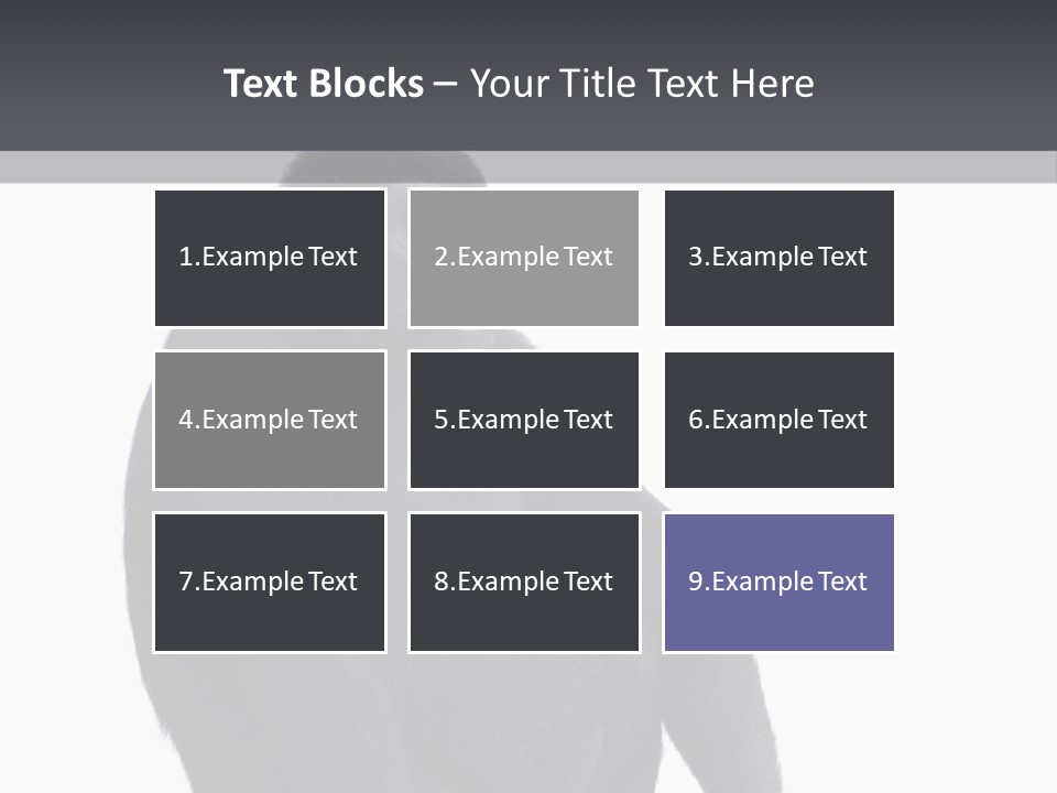 Animal Mammal Species PowerPoint Template