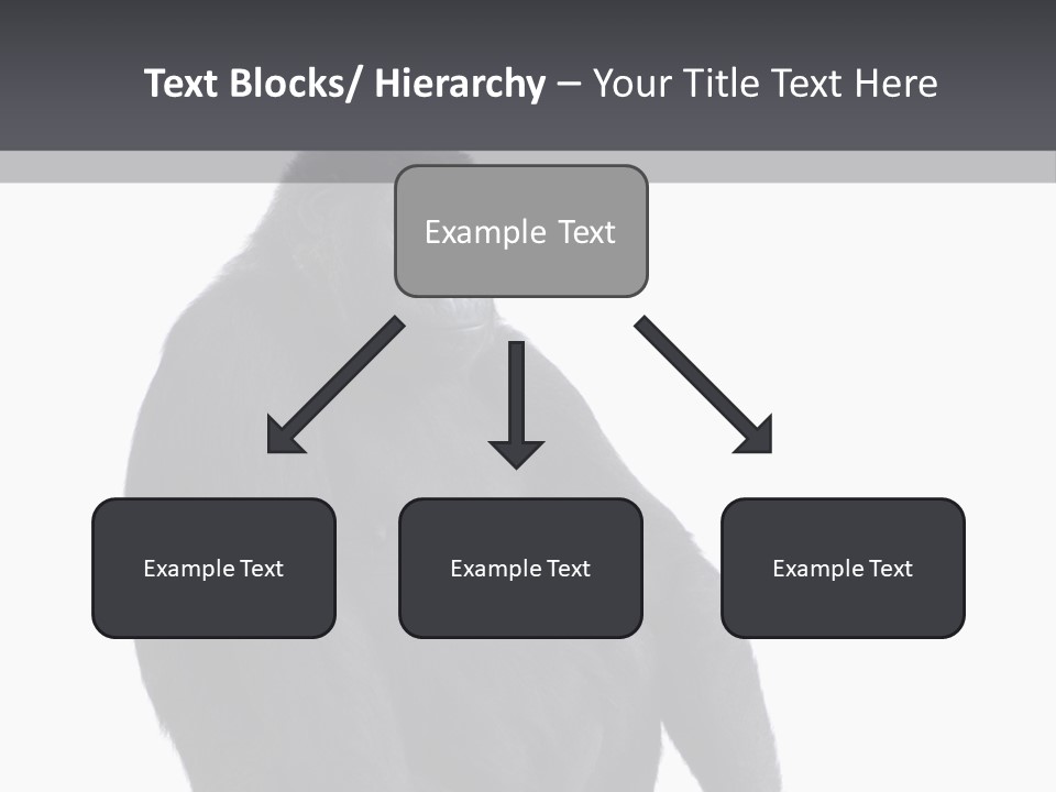 Animal Mammal Species PowerPoint Template