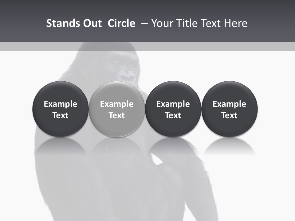 Animal Mammal Species PowerPoint Template