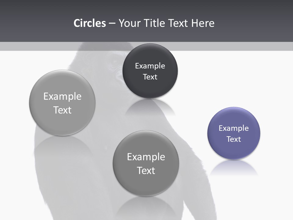 Animal Mammal Species PowerPoint Template