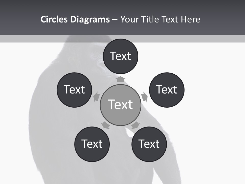 Animal Mammal Species PowerPoint Template