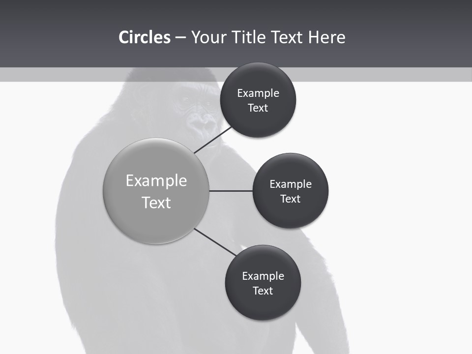 Animal Mammal Species PowerPoint Template