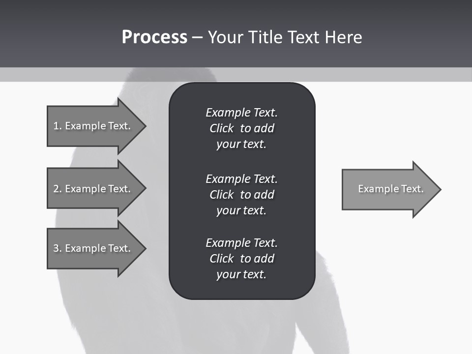 Animal Mammal Species PowerPoint Template