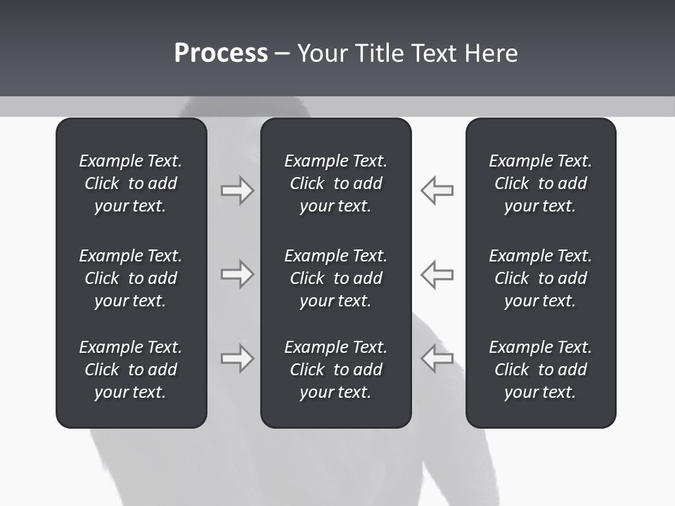 Animal Mammal Species PowerPoint Template