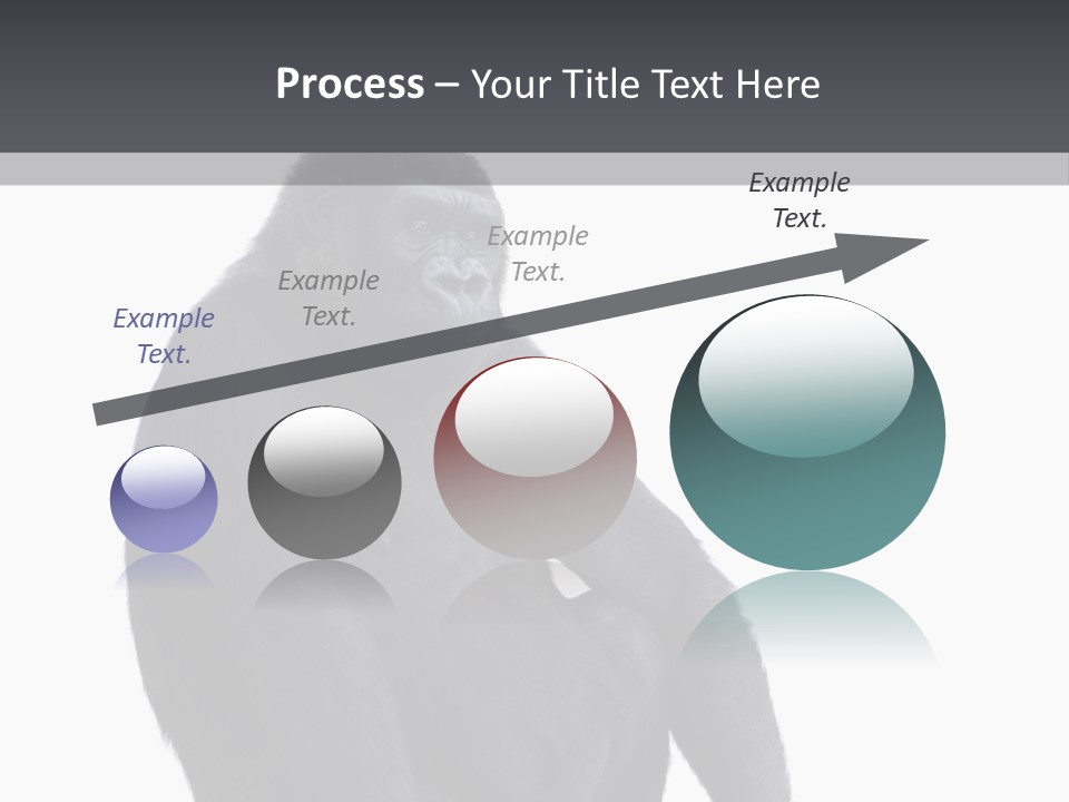 Animal Mammal Species PowerPoint Template