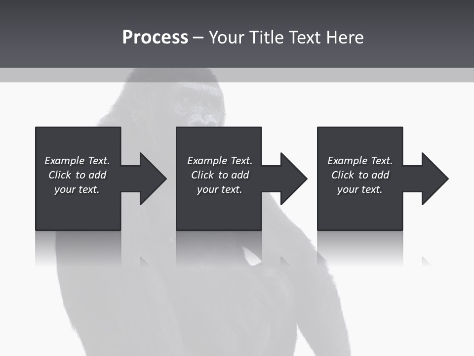 Animal Mammal Species PowerPoint Template