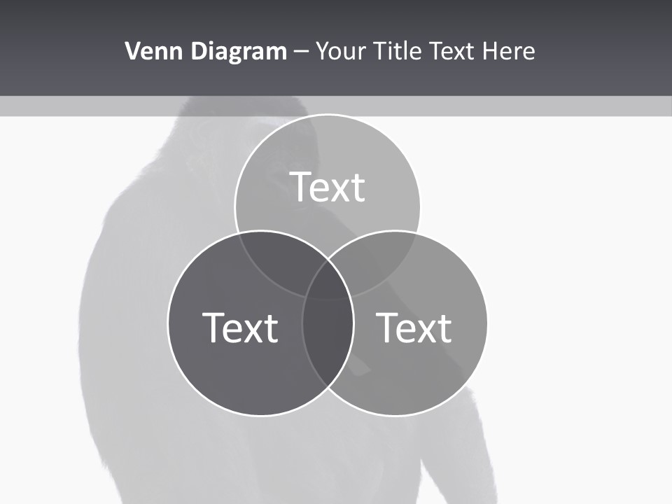 Animal Mammal Species PowerPoint Template