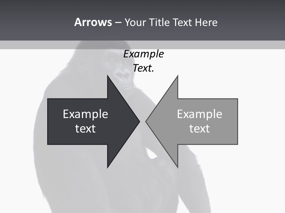 Animal Mammal Species PowerPoint Template
