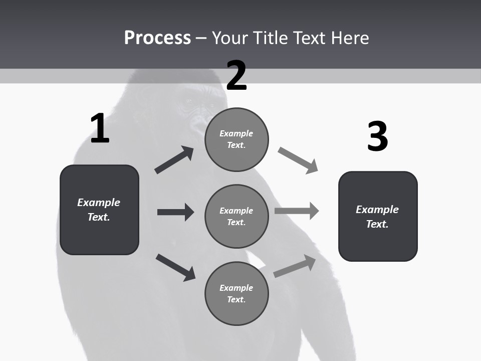 Animal Mammal Species PowerPoint Template