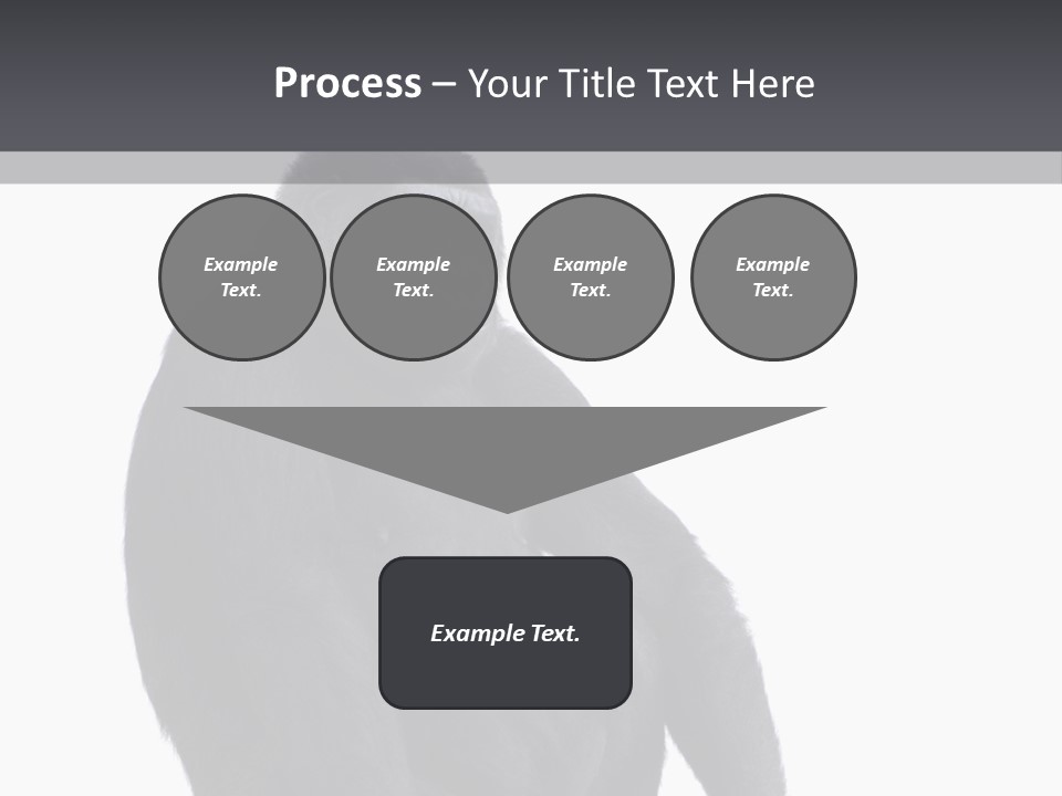 Animal Mammal Species PowerPoint Template