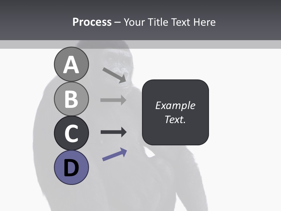 Animal Mammal Species PowerPoint Template