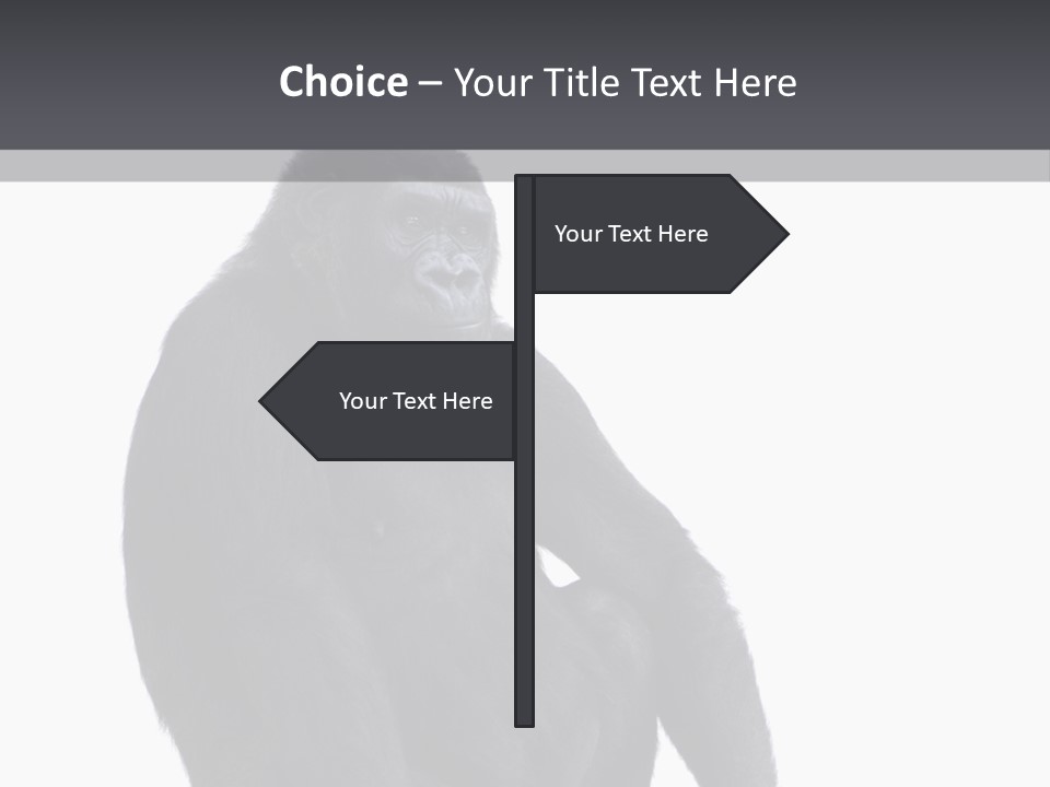 Animal Mammal Species PowerPoint Template