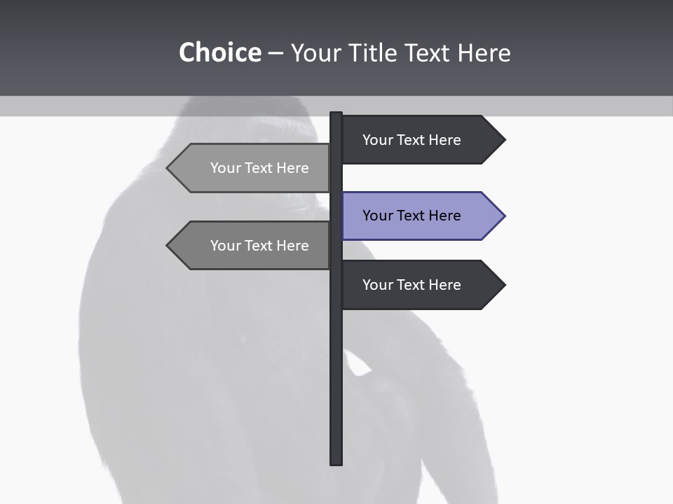 Animal Mammal Species PowerPoint Template