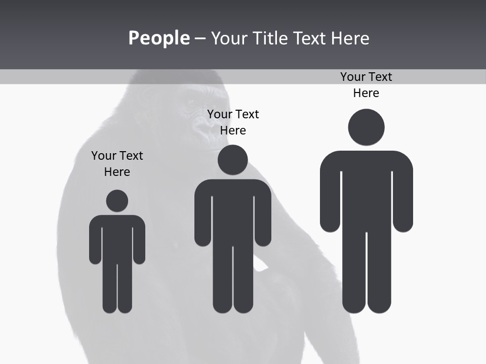 Animal Mammal Species PowerPoint Template