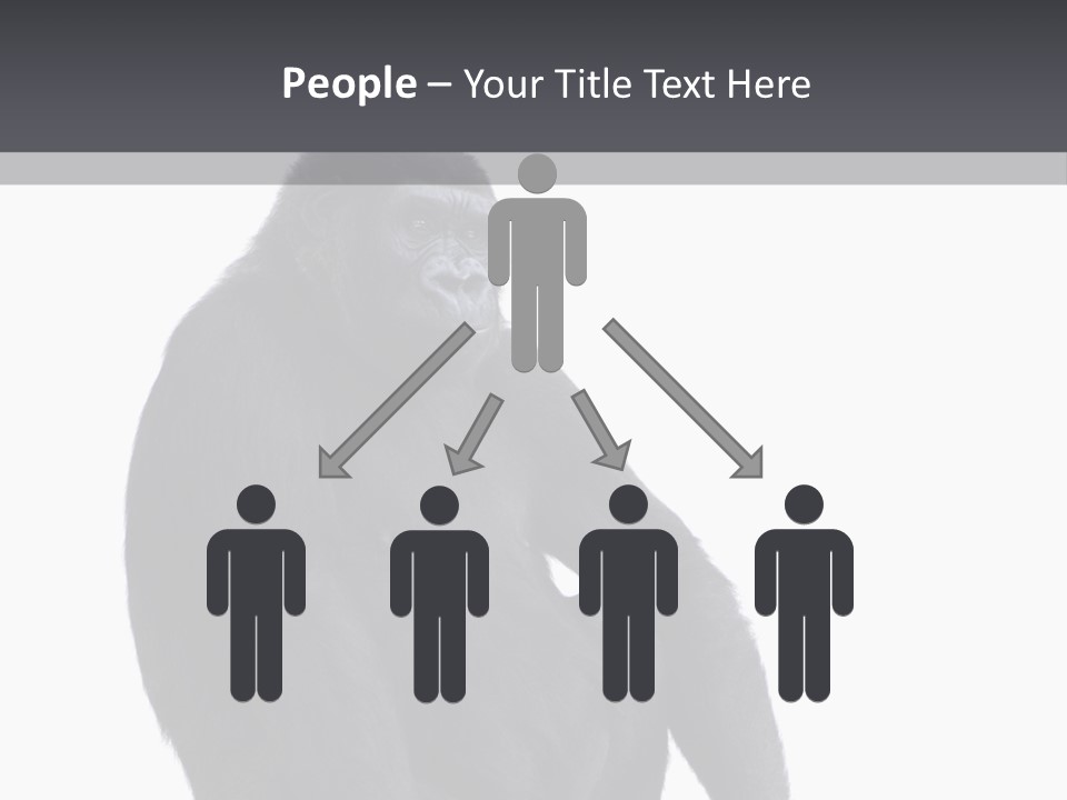 Animal Mammal Species PowerPoint Template