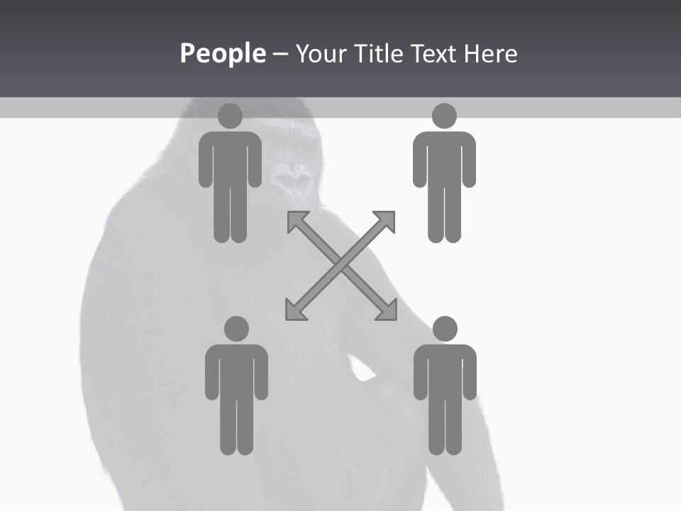 Animal Mammal Species PowerPoint Template