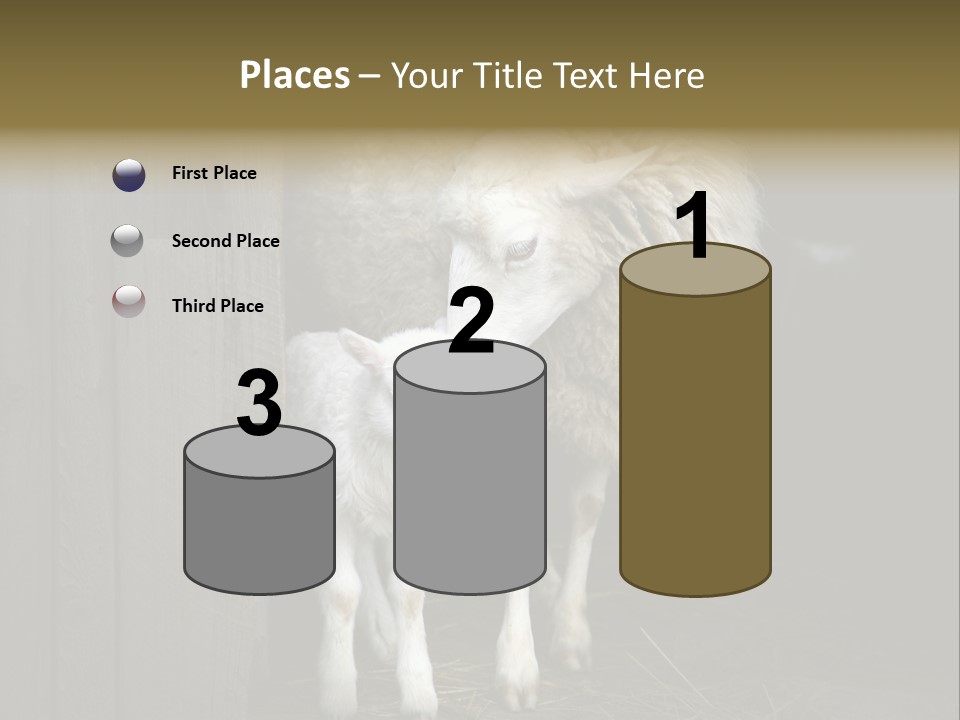 Animal Friendly Lamb PowerPoint Template