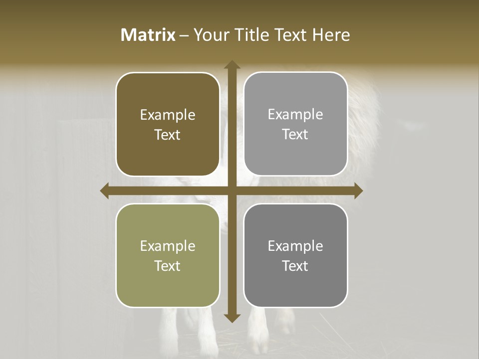 Animal Friendly Lamb PowerPoint Template