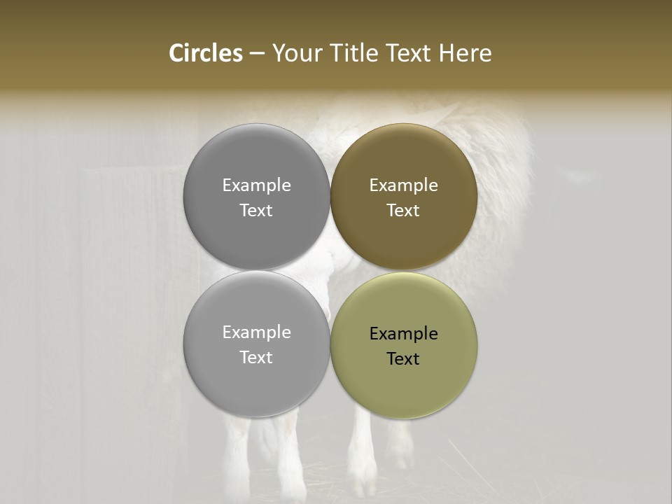 Animal Friendly Lamb PowerPoint Template