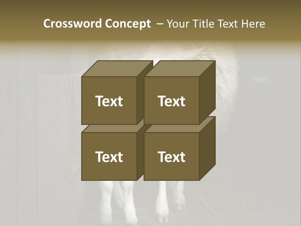 Animal Friendly Lamb PowerPoint Template