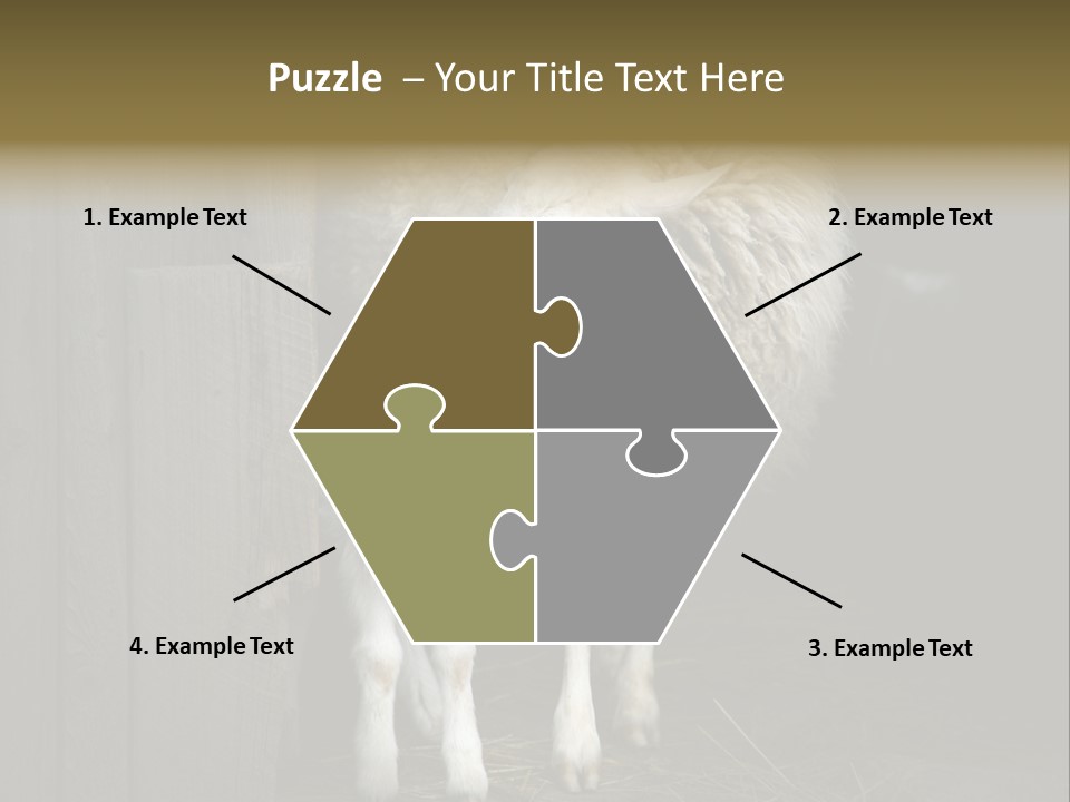 Animal Friendly Lamb PowerPoint Template