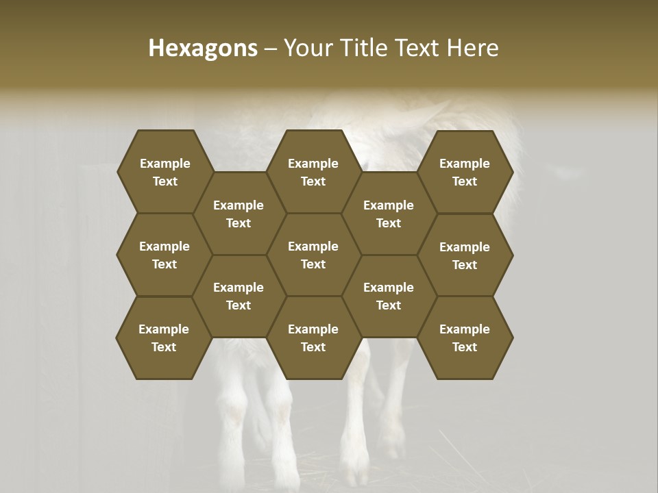 Animal Friendly Lamb PowerPoint Template