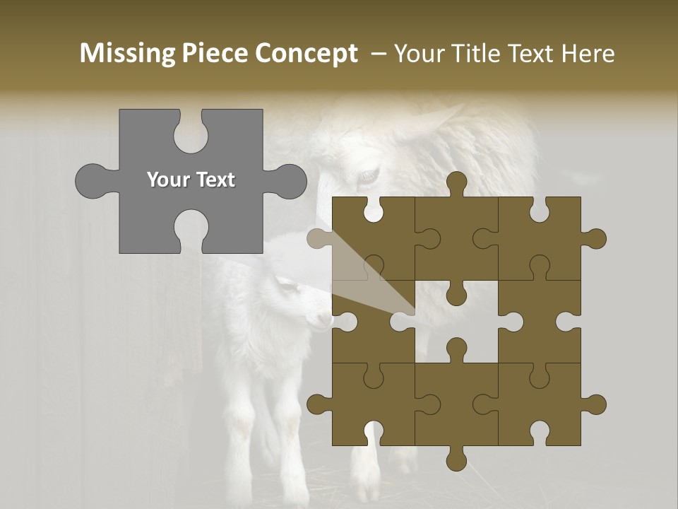 Animal Friendly Lamb PowerPoint Template