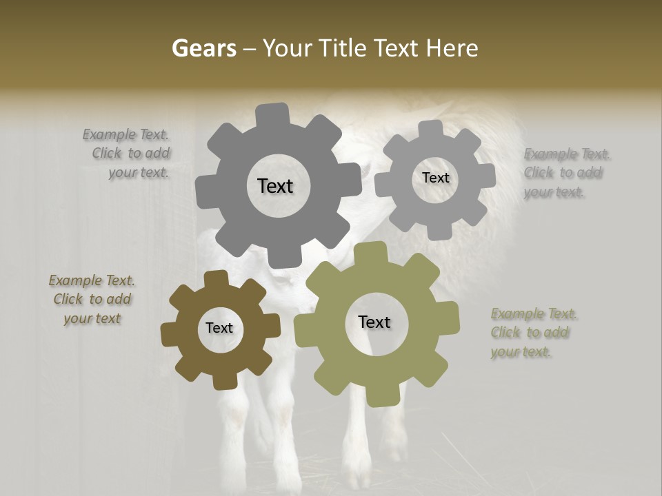 Animal Friendly Lamb PowerPoint Template