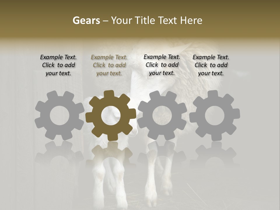 Animal Friendly Lamb PowerPoint Template