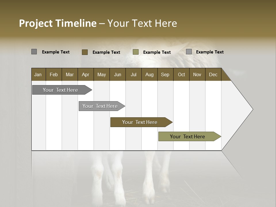 Animal Friendly Lamb PowerPoint Template