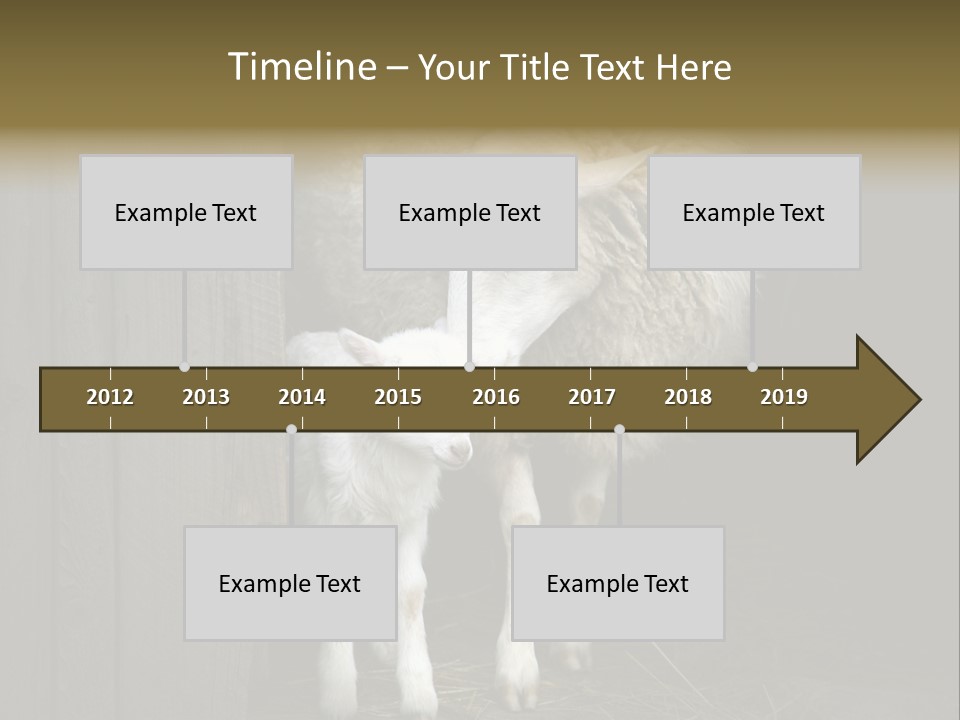 Animal Friendly Lamb PowerPoint Template