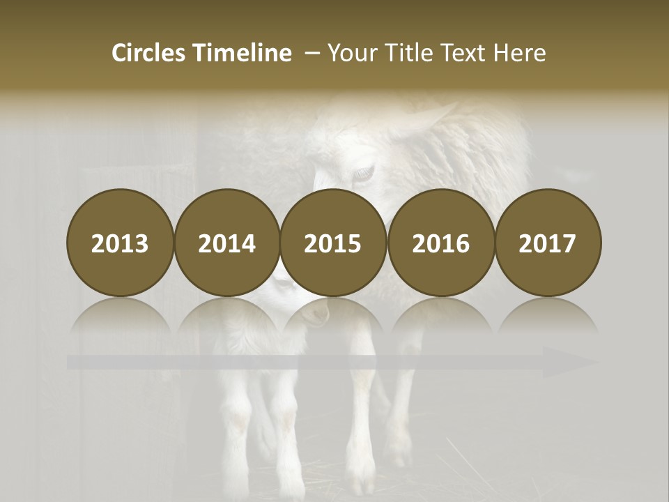 Animal Friendly Lamb PowerPoint Template