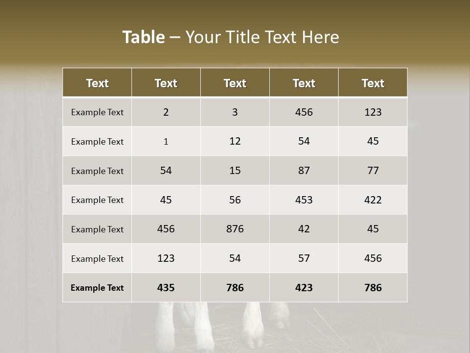 Animal Friendly Lamb PowerPoint Template