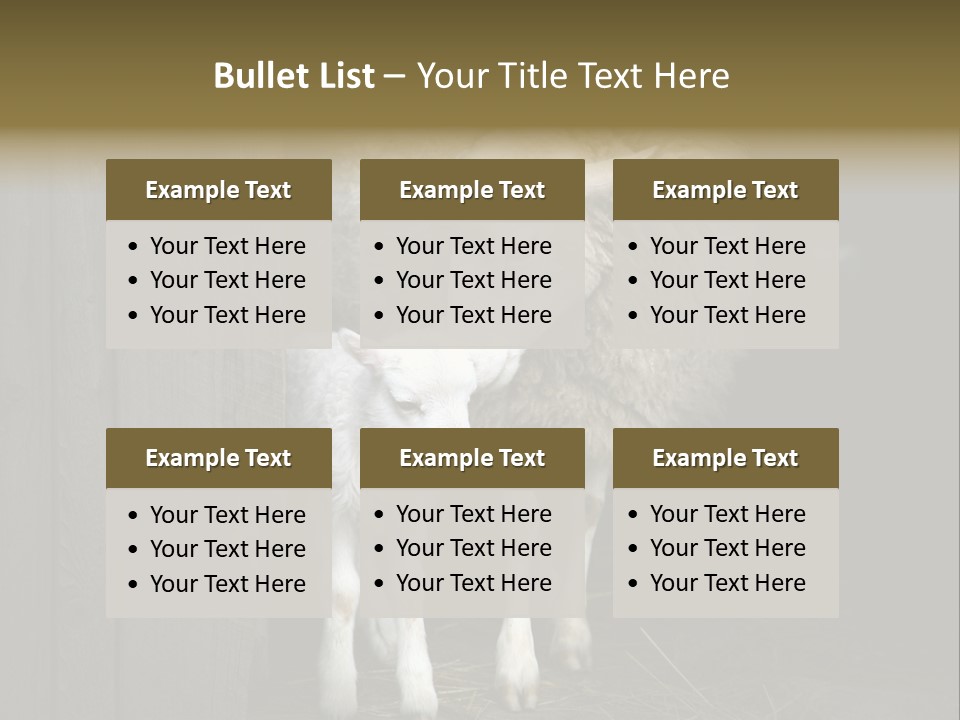 Animal Friendly Lamb PowerPoint Template