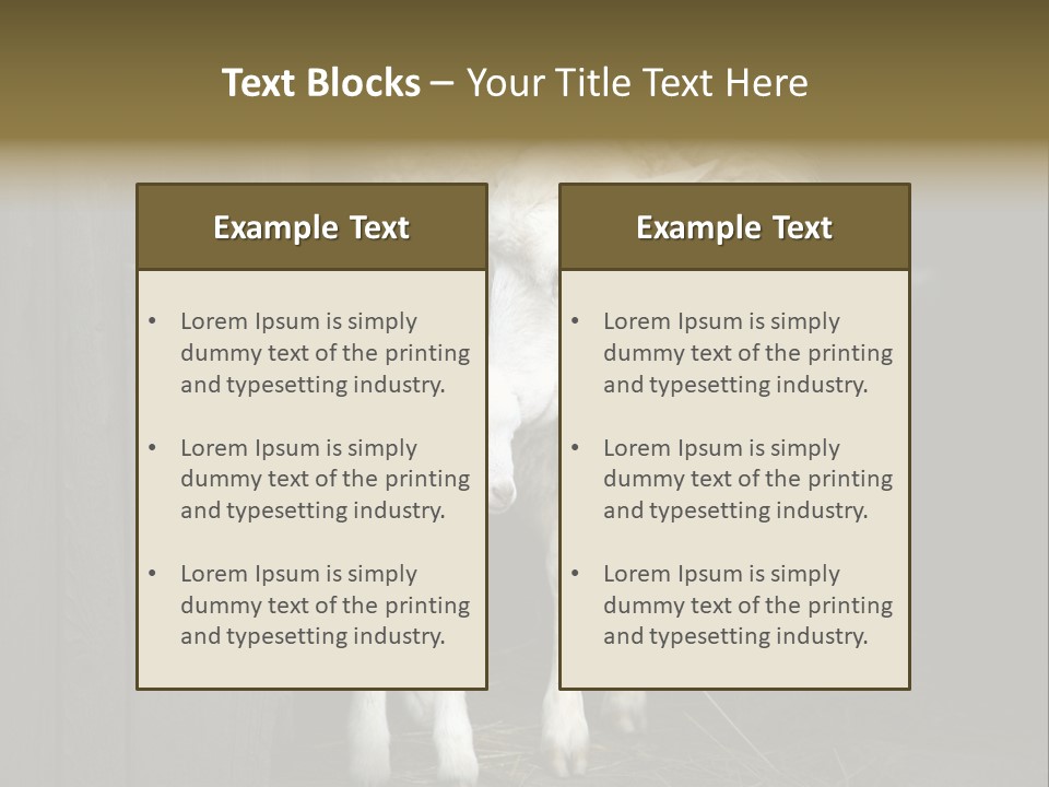 Animal Friendly Lamb PowerPoint Template