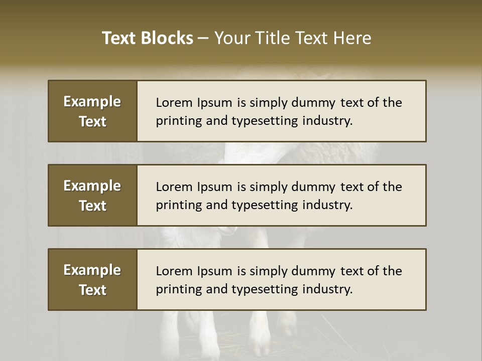 Animal Friendly Lamb PowerPoint Template