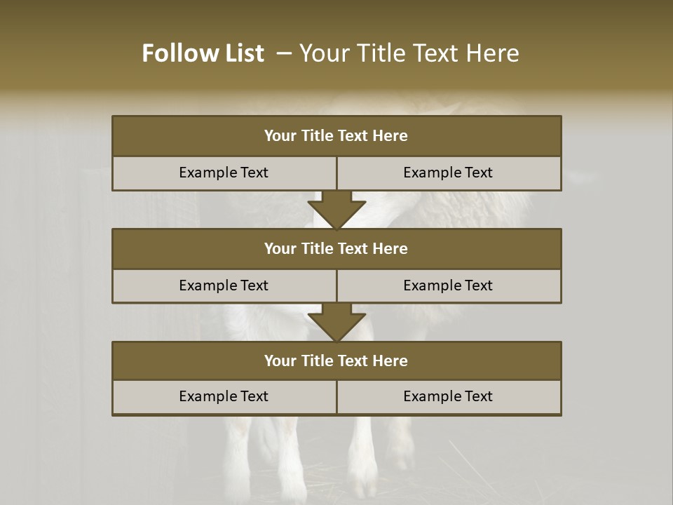 Animal Friendly Lamb PowerPoint Template