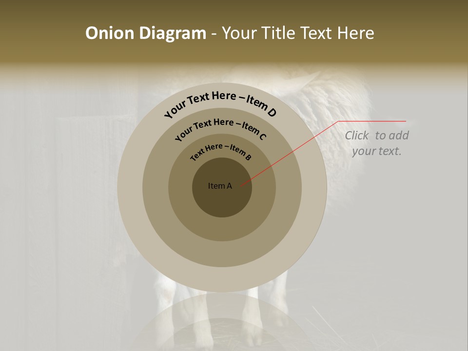 Animal Friendly Lamb PowerPoint Template