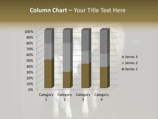 Animal Friendly Lamb PowerPoint Template