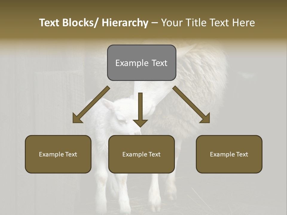 Animal Friendly Lamb PowerPoint Template